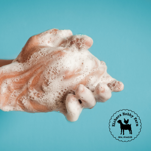 Why Use Goat Milk Soap to Keep Your Hands Clean