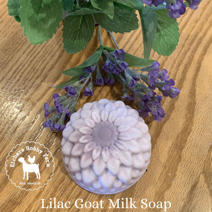 Lilac Handcrafted Goat Milk Soap - eichershobbyfarm - Goat Milk Products - Avon, Minnesota